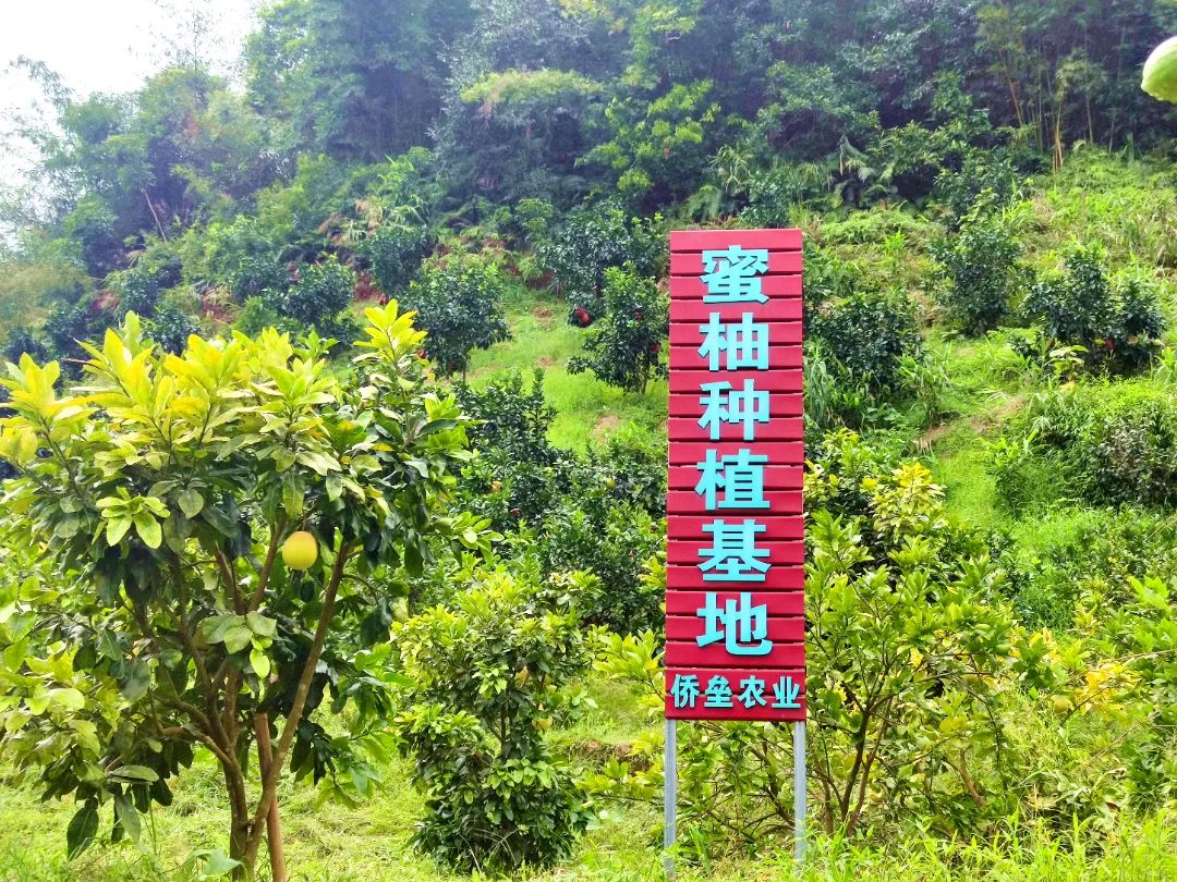 肇庆潮汕_肇庆潮汕美食特产_肇庆潮汕菜
