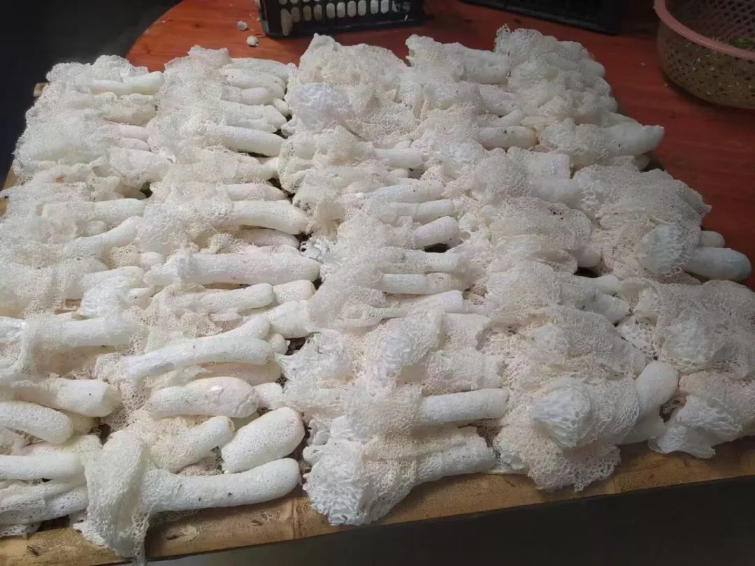 肇庆潮汕菜_肇庆潮汕美食特产_肇庆潮汕