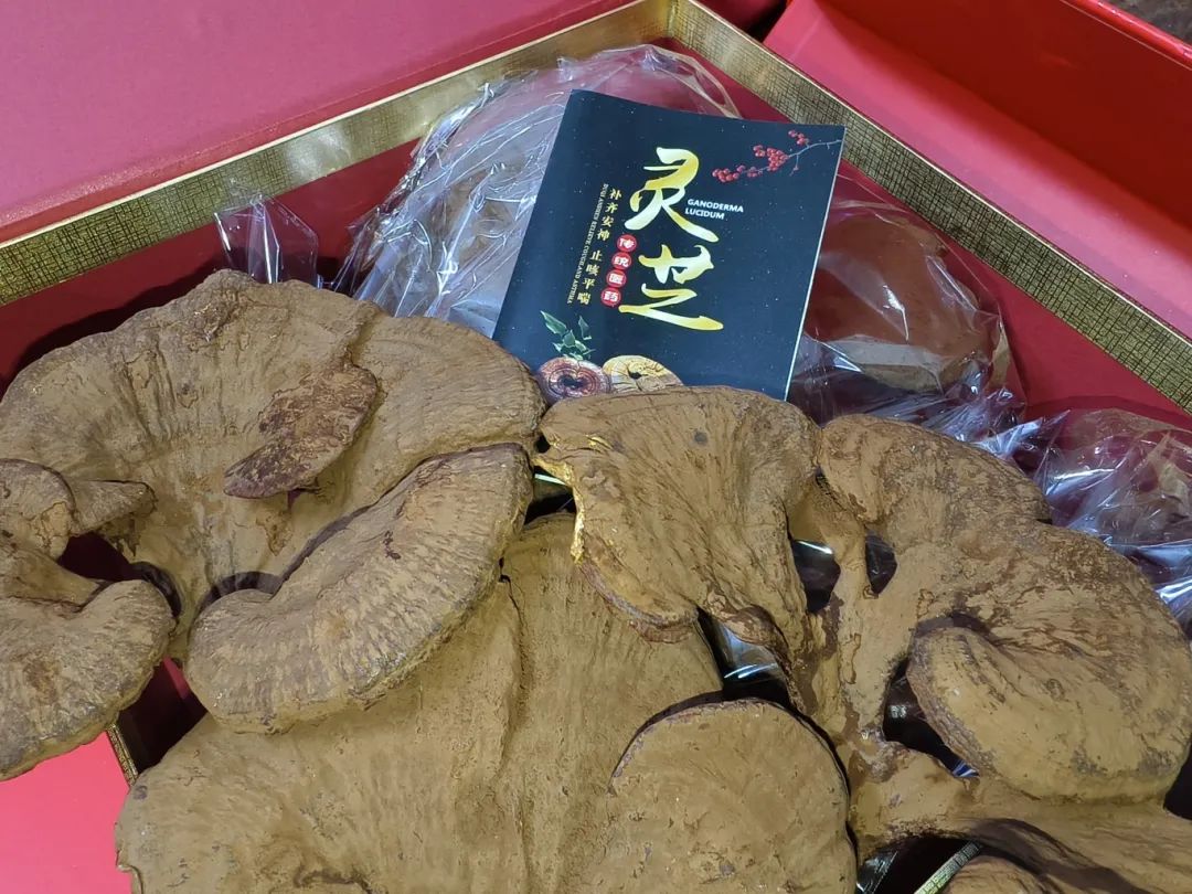 肇庆潮汕美食特产_肇庆潮汕菜_肇庆潮汕