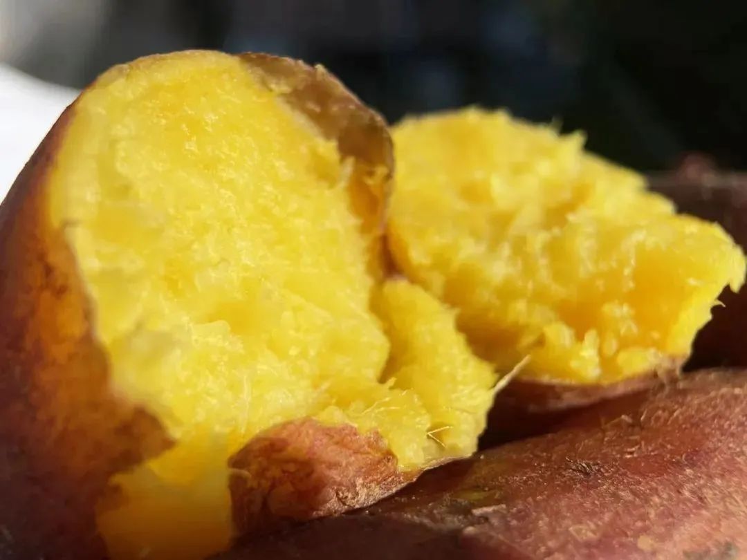肇庆潮汕美食特产_肇庆潮汕菜_肇庆潮汕