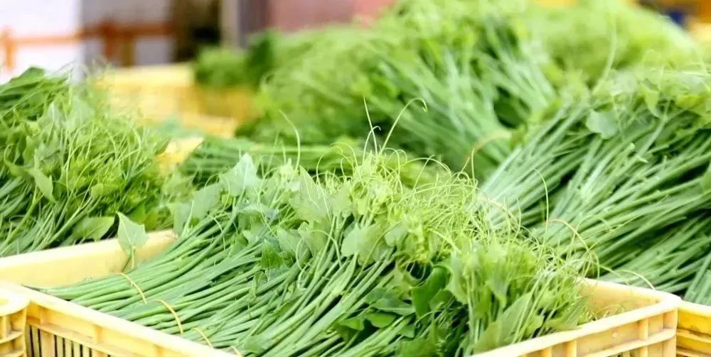 肇庆潮汕_肇庆潮汕菜_肇庆潮汕美食特产