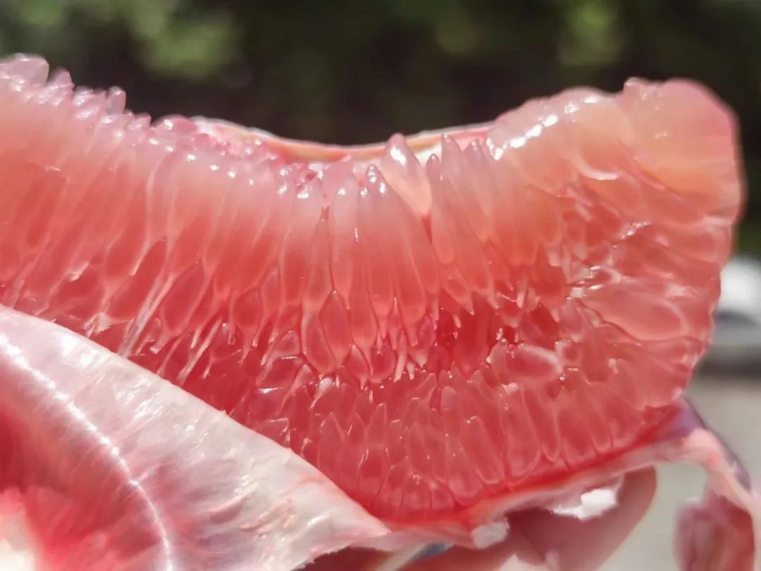 肇庆潮汕美食特产_肇庆潮汕菜_肇庆潮汕