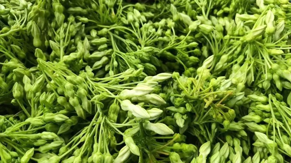 肇庆潮汕美食特产_肇庆潮汕菜_肇庆潮汕