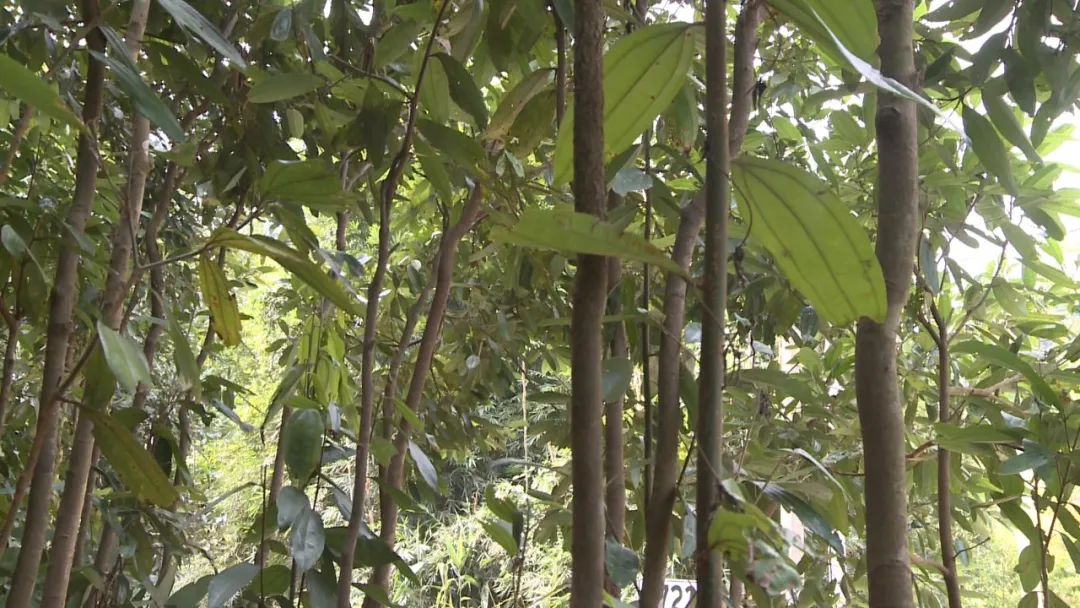 肇庆潮汕菜_肇庆潮汕_肇庆潮汕美食特产
