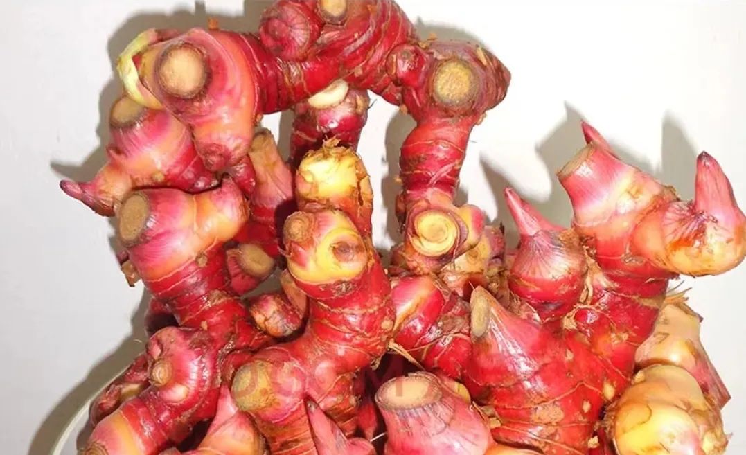 肇庆潮汕菜_肇庆潮汕美食特产_肇庆潮汕