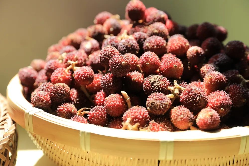 肇庆潮汕美食特产_肇庆潮汕菜_肇庆潮汕