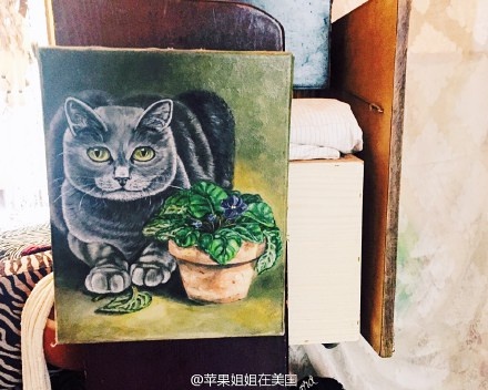 后院咖啡_后院咖啡_咖啡喝完了