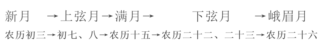 熊猫小百科视频_大熊猫知识视频秒懂百科_熊猫秒懂百科视频全部