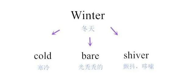 大熊猫知识视频秒懂百科_熊猫秒懂百科视频全部_熊猫小百科视频