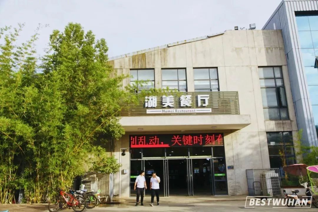 西餐厅放什么绿植_西餐厅适合放什么绿植植物_餐厅植物西绿植适合放客厅吗