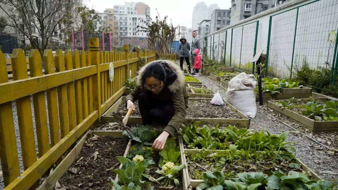 改变城市方式生活英语_城市生活方式改变_城市改变生活什么意思