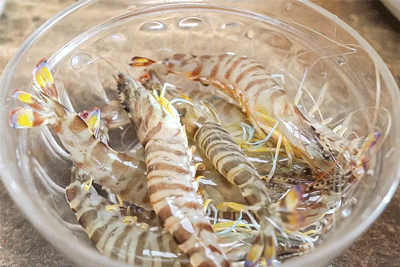 美食潮汕菜_美食潮汕话_潮汕美食168