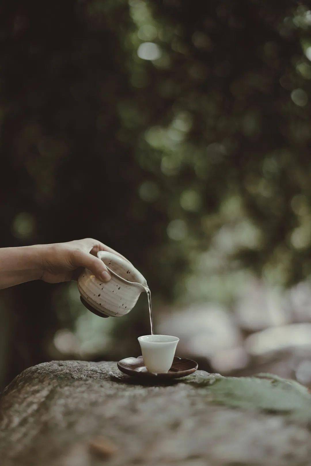 喝茶方式的变化_喝茶方式有_喝茶  生活方式