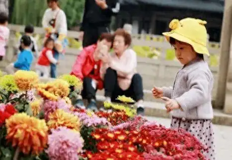 重阳节美食图片简笔画_重阳节美食图片大全图片_重阳节美食图片